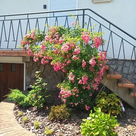 House In The Ardennes Tatil Evi Auvillers-les-Forges